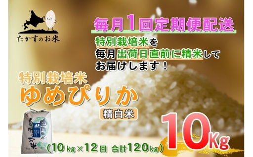 【 12回定期便 】 ゆめぴりか （ 精白米 ） 約10kg （ 約10kg × 1袋 ） 米 白米 精米 ブランド米 ごはん 鷹栖町産 国産 定期便 定期配送 【 2026年10月上旬発送開始予定 】