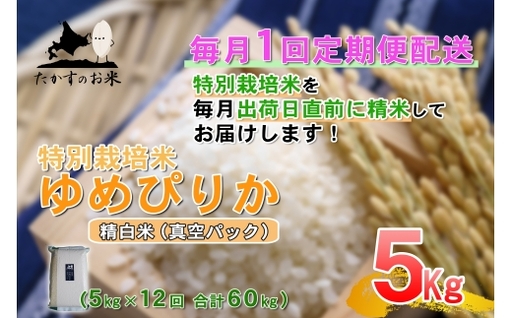 【 12回定期便 】 ゆめぴりか （ 精白米 ） 真空パック 約5kg （ 約5kg × 1袋 ） 米 白米 精米 ブランド米 ごはん 鷹栖町産 国産 定期便 定期配送 【 2026年10月上旬発送開始予定 】