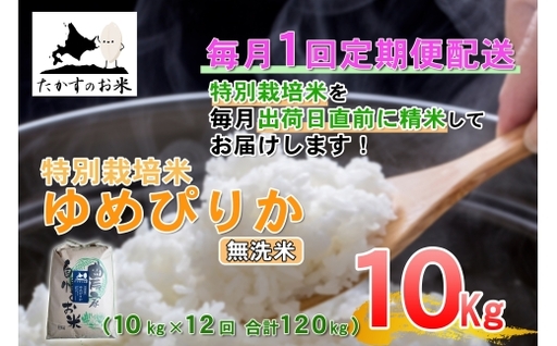 【 12回定期便 】 ゆめぴりか （ 無洗米 ） 約10kg （ 約10kg × 1袋 ） 米 ブランド米 ごはん 鷹栖町産 国産 定期便 定期配送 【 2026年10月上旬発送開始予定 】