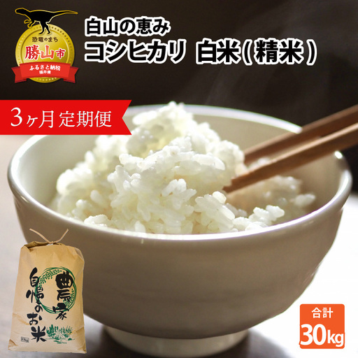 コシヒカリ 定期便 精米 30kg コシヒカリ