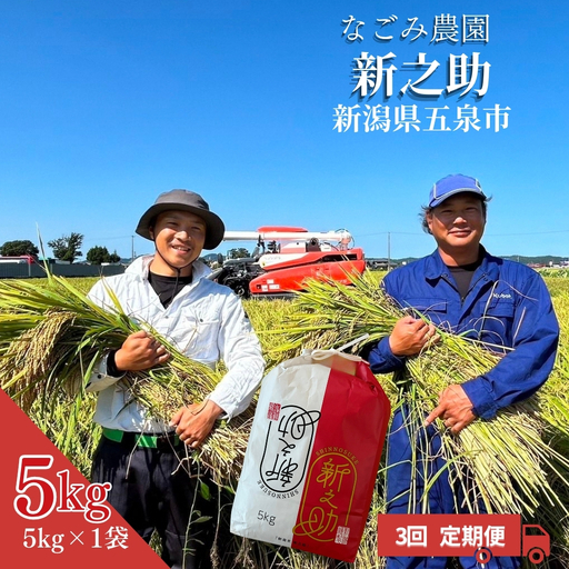 【先行予約】【令和8年産】〈3回定期便〉なごみ農園 新之助5kg (5kg×1袋) 緑白綬有功章受章 | しんのすけ 新潟県 五泉市 なごみ農園 