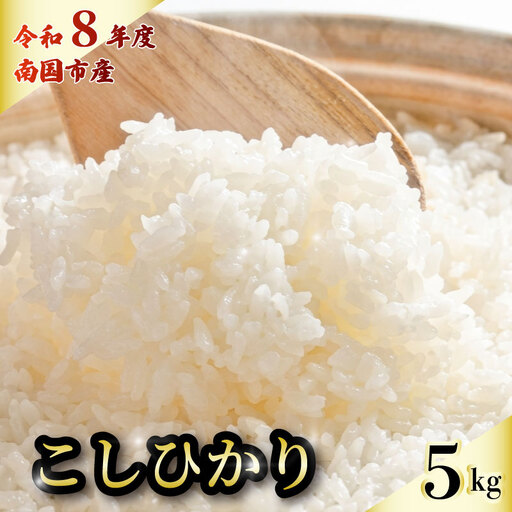【令和8年 南国市産】 白米 5kg コシヒカリ 精米 新米