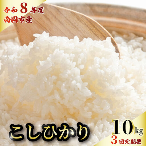 【令和8年 南国市産】 白米 10kg コシヒカリ 精米 3回定期便