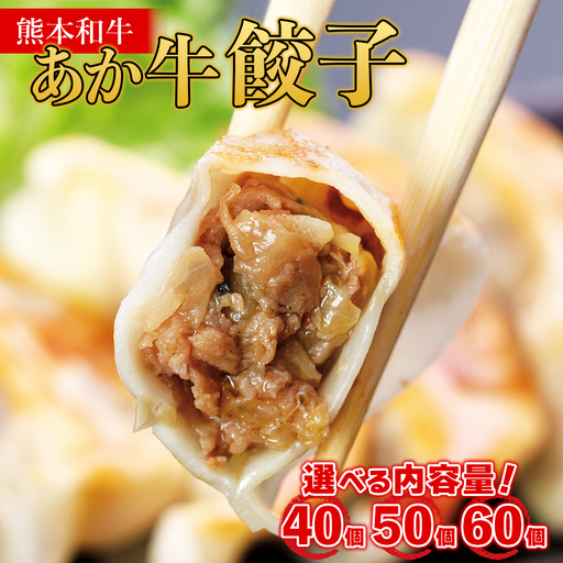 選べる内容量 熊本和牛 あか牛 餃子 【50個】