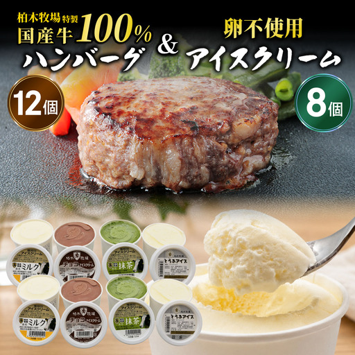 [柏木牧場]国産牛100%ハンバーグ 12個&卵不使用 アイスクリーム 8個セット [1383]