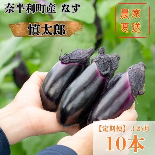 131901 奈半利町の茄子 [慎太郎]定期便10本