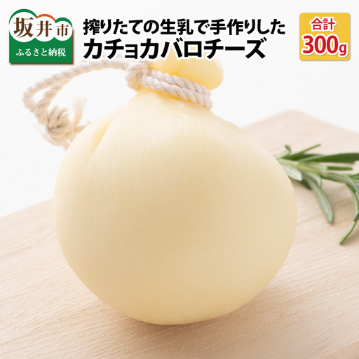カチョカバロチーズ 2個詰め合わせ (プレーン) チーズ 発酵食品 熟成 [A-11904]