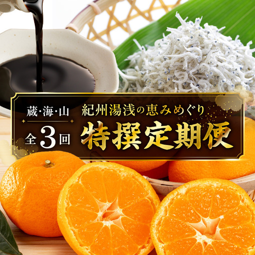 紀州湯浅の恵みめぐり 蔵・海・山の特撰定期便(全3回) _YAS60-T04