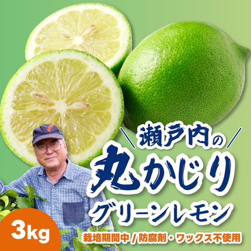 グリーンレモン3kg 《栽培期間中：防腐剤・ワックス不使用》2026年10月発送予定 檸檬 柑橘 果物 くだもの フルーツ 瀬戸内 251002