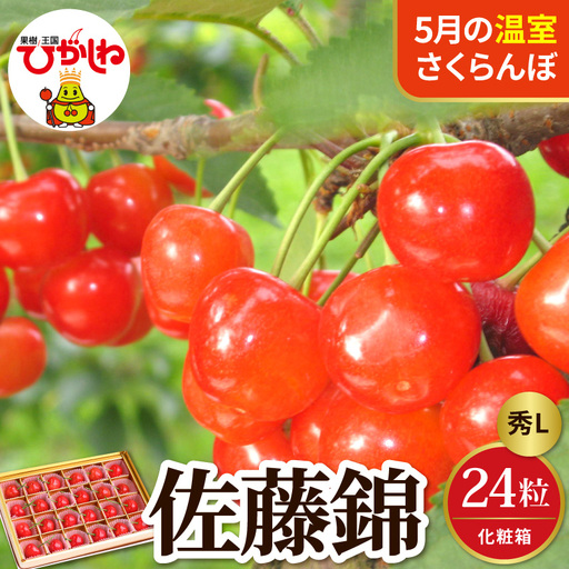2027年産 5月配送 温室 さくらんぼ 佐藤錦 秀L 24粒 さくらんぼ