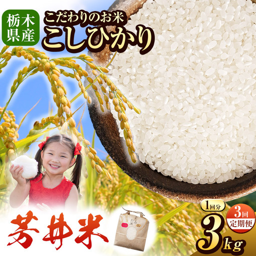 【定期3回】令和8年度産 新米 那珂川町産芳井米 3kg｜栃木県 那珂川町 送料無料