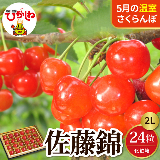 2027年産 5月配送 温室 さくらんぼ 佐藤錦 秀2L  24粒 さくらんぼ
