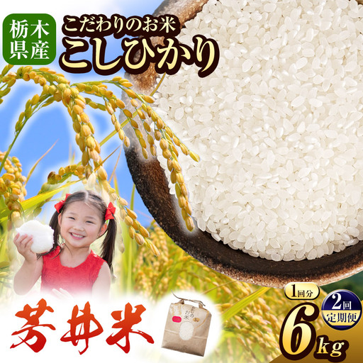 【定期2回】令和8年度産 新米 那珂川町産芳井米 3kg×2｜栃木県 那珂川町 送料無料