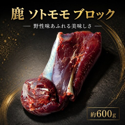 鹿肉 ソトモモ 600g ブロック ジビエ [ 鹿肉 ]