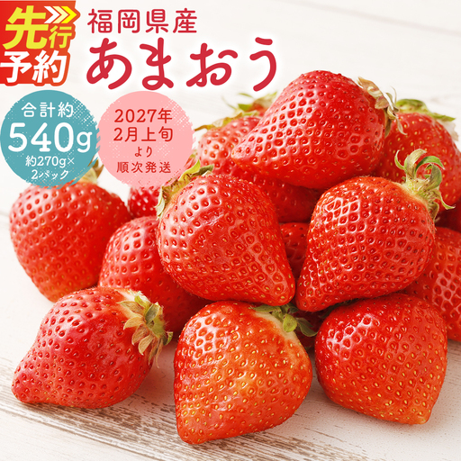 福岡県産 あまおう 合計約540g 約270g×2パック 【2027年2月下旬～3月下旬迄発送】