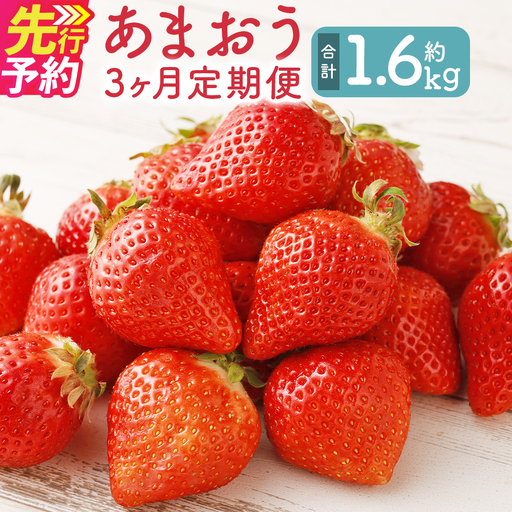 【3回定期便】福岡県産 あまおう 合計約540g 約270g×2パック 【2027年1月上旬～3月下旬迄発送】