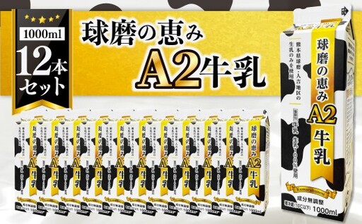 球磨の恵みA2牛乳12本セット 1000ml×12本 牛乳 ミルク MILK A2牛乳 生乳 乳飲料 カルシウム 熊本県産 球磨 人吉
