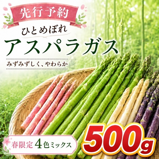[先行予約]春限定 ひとめぼれアスパラガス 500g 4色 食べ比べ グリーン パープル ピンク ホワイト 産地直送 農家直送 野菜 新鮮 旬 アスパラ 春野菜 サラダ カラフル バーベキュー BBQ おすそ分け ファミリー