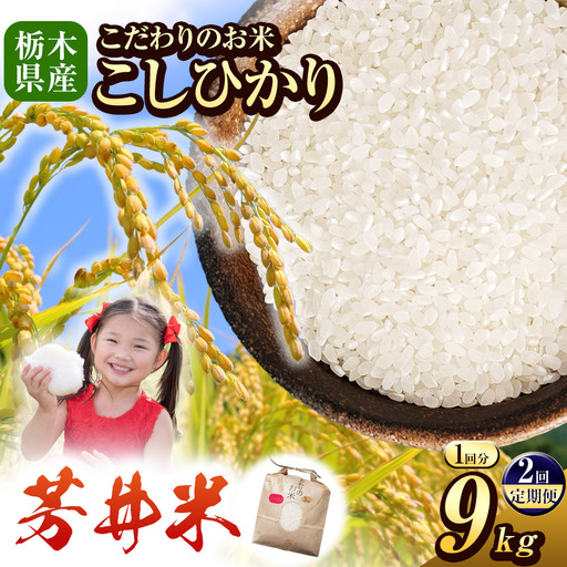 【定期2回】令和8年度産 新米 那珂川町産芳井米 3kg×3｜栃木県 那珂川町 送料無料