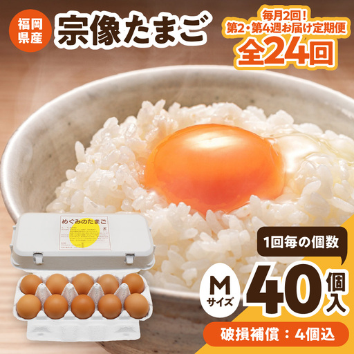 【毎月2回！第2・第4週お届け定期便】新鮮 赤卵「宗像たまご」Mサイズ 40個×12ヶ月定期便 (36個＋補償4個)【JAほたるの里】_AM0218-00
