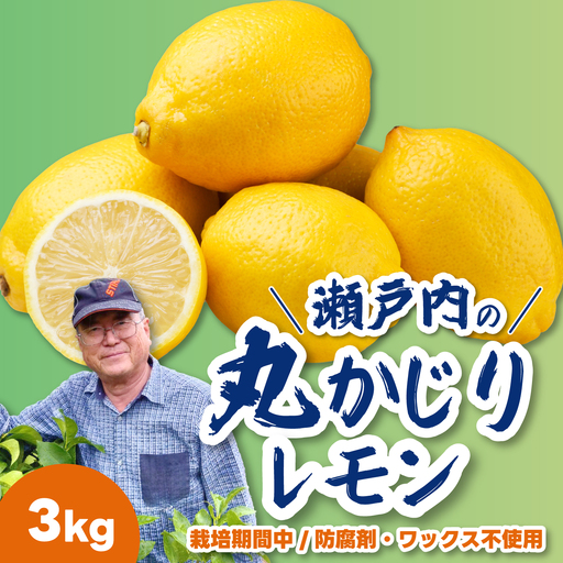 【先行受付】レモン3kg 《栽培期間中：防腐剤・ワックス不使用》2026年12月発送予定 檸檬 柑橘 果物 くだもの フルーツ 瀬戸内 251008