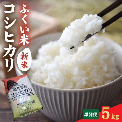 [先行予約][ふくい米]令和8年産 福井市産コシヒカリ5kg 「2026年10月上旬より順次発送」 [A-168014] | こしひかり
