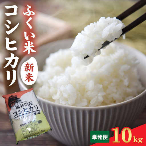 [先行予約][ふくい米]令和8年産 福井市産コシヒカリ10kg 「2026年10月上旬より順次発送」 [B-168015] | こしひかり