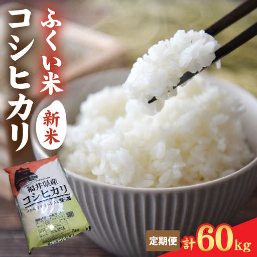 [先行予約][定期便12ヶ月連続お届け][ふくい米]令和8年産 福井市産コシヒカリ5kg「2026年10月上旬より順次発送」 [K-168016] | こしひかり