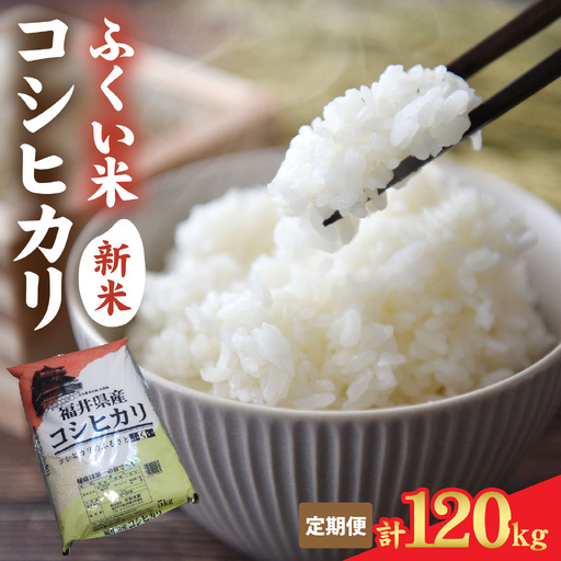 [先行予約][定期便12ヶ月連続お届け][ふくい米]令和8年産 福井市産コシヒカリ10kg「2026年10月上旬より順次発送」 [O-168018] | こしひかり