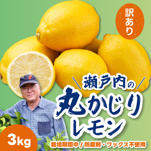 【先行受付】《訳あり》レモン3kg 《栽培期間中：防腐剤・ワックス不使用》2026年12月発送予定 檸檬 柑橘 果物 くだもの フルーツ 瀬戸内 251011