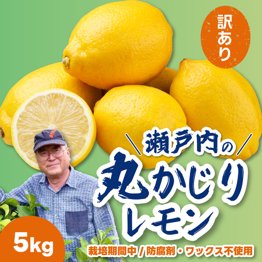 【先行受付】《訳あり》レモン5kg 《栽培期間中：防腐剤・ワックス不使用》2026年12月発送予定 檸檬 柑橘 果物 くだもの フルーツ 瀬戸内 251012