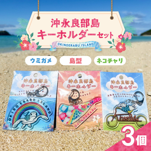 沖永良部島キーホルダー セット W073-001-04 キーホルダー
