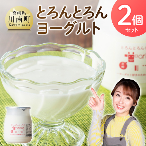 とろんとろんヨーグルト2個セット[ トロントロンヨーグルト トロントロン アリマン 乳製品 乳 加工品 牛乳 ヨーグルト 乳 ]