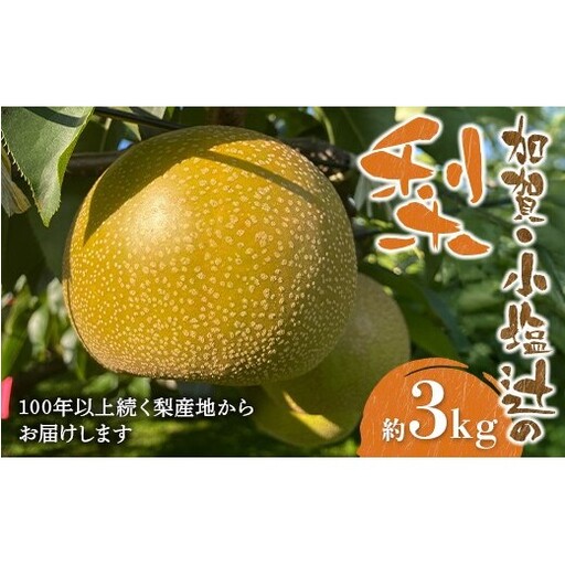 [100年以上続く梨産地]加賀・小塩辻の梨 約3kg ナシ なし くだもの 果物 フルーツ ご当地 食品