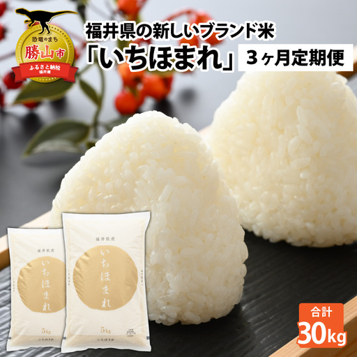 いちほまれ 30kg 精米 定期便 いちほまれ