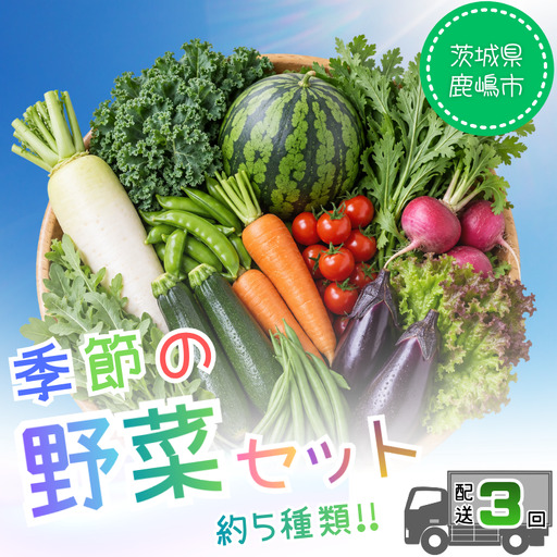 全3回 野菜定期便 5種 野菜セット