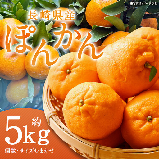 ぽんかん 約5kg ( 個数 ・ サイズ おまかせ )ポンカン 果物 くだもの 果実 果実 フルーツ デザート 完熟 完熟ポンカン 川口農園 [ 2027年1月下旬〜2月下旬まで順次発送予定 ]