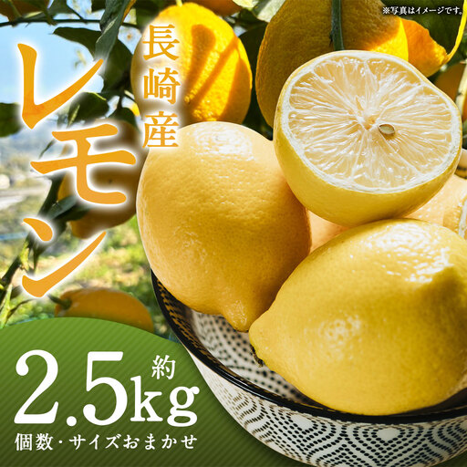 長崎産レモン 約2.5kg ( 個数 ・ サイズ おまかせ )レモン 檸檬 れもん 果実 果物 フルーツ デザート リフレッシュ 調味料 クエン酸 料理 白湯 リモネン [ 2026年12月下旬〜2027年4月上旬まで順次発送予定 ]