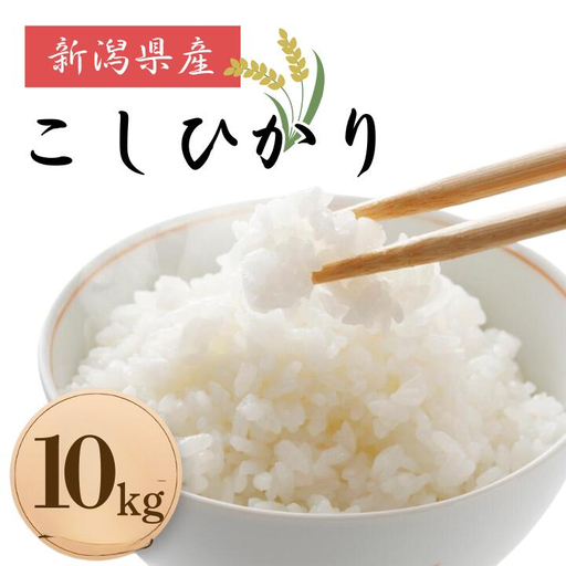 米 コメ お米 おこめ こしひかり 精米 白米 10kg 令和8年産 2026年産 送料無料 新潟 見附 見附市 岩渕農場