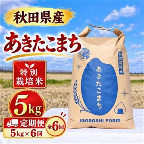 【毎月定期便】特別栽培米 あきたこまち 白米 5kg全6回【配送不可地域：離島・沖縄県】【4092555】