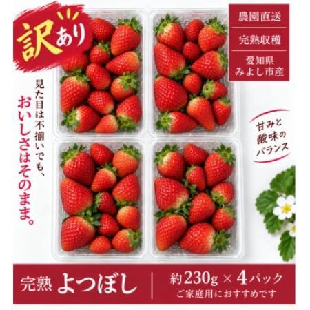 [訳あり・家庭用][産直]完熟よつぼし 規格外 4パック(約920g)[配送不可地域:離島・北海道・沖縄県・東北・中国・四国・九州]