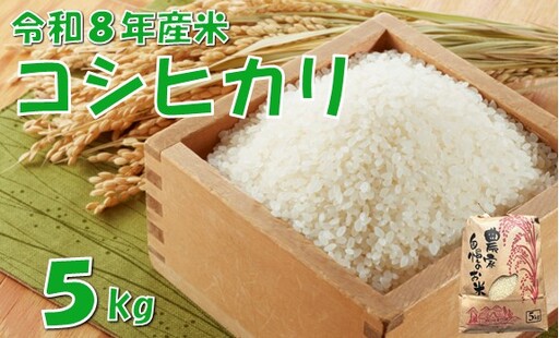 【令和８年産 新米】コシヒカリ5kg　佐藤