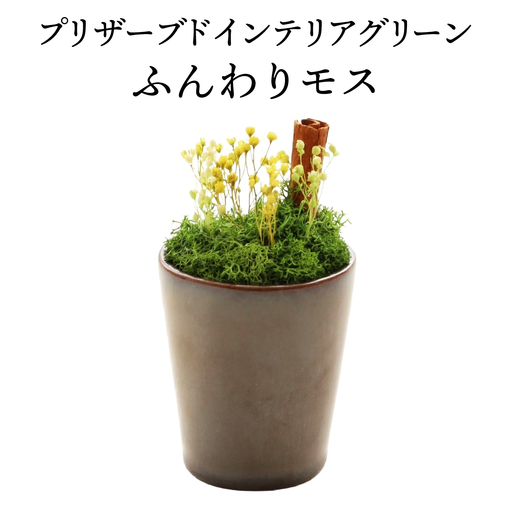 プリザーブドインテリアグリーン ふんわりモス