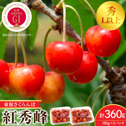 2027年産 GI 東根 さくらんぼ 紅秀峰 360g さくらんぼ