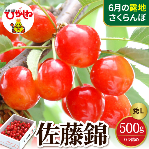 2027年産 さくらんぼ 佐藤錦 秀L 500g バラ詰め さくらんぼ