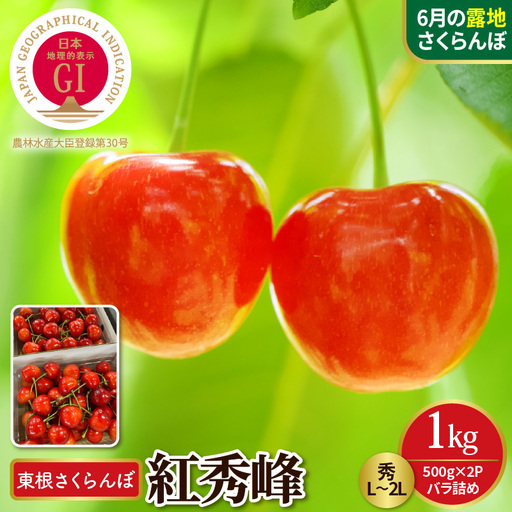 2027年産 GI 東根 さくらんぼ 紅秀峰 秀L〜2L 1kg バラ詰め(500g×2P) さくらんぼ
