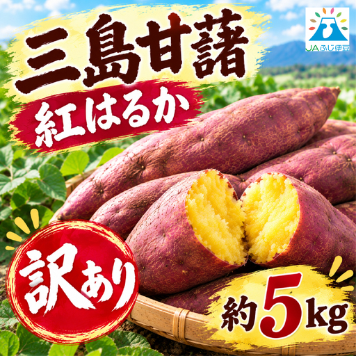 [予約受付中] 訳あり 三島甘藷 約5kg 紅はるか さつまいも 甘藷 芋 野菜 農産物 新鮮 産地直送 みしまるかん JA 国産 箱根西麓三島野菜 静岡県 三島市