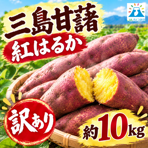【予約受付中】 訳あり 三島甘藷 約10kg 紅はるか さつまいも 