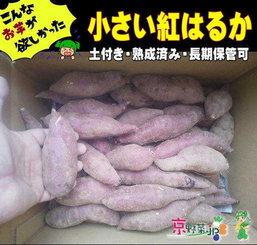 小さい紅はるか(京都産) 5kg