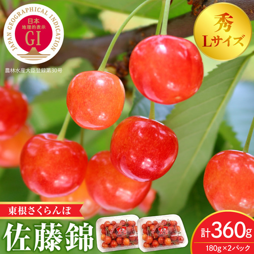 2027年産 GI 東根 さくらんぼ 佐藤錦 360g さくらんぼ